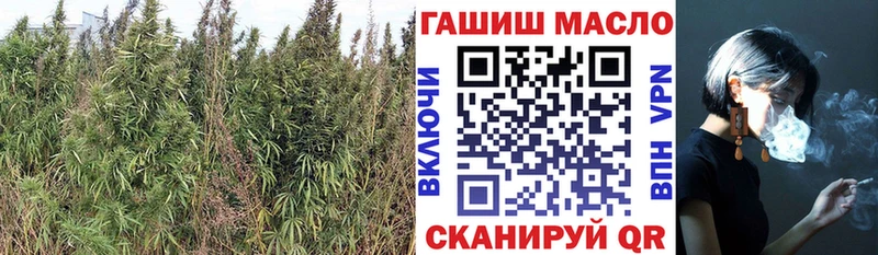 Дистиллят ТГК THC oil  купить наркотик  Череповец 