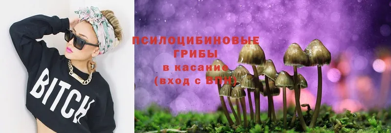 МЕГА ссылки  Череповец  Псилоцибиновые грибы Cubensis  закладка 